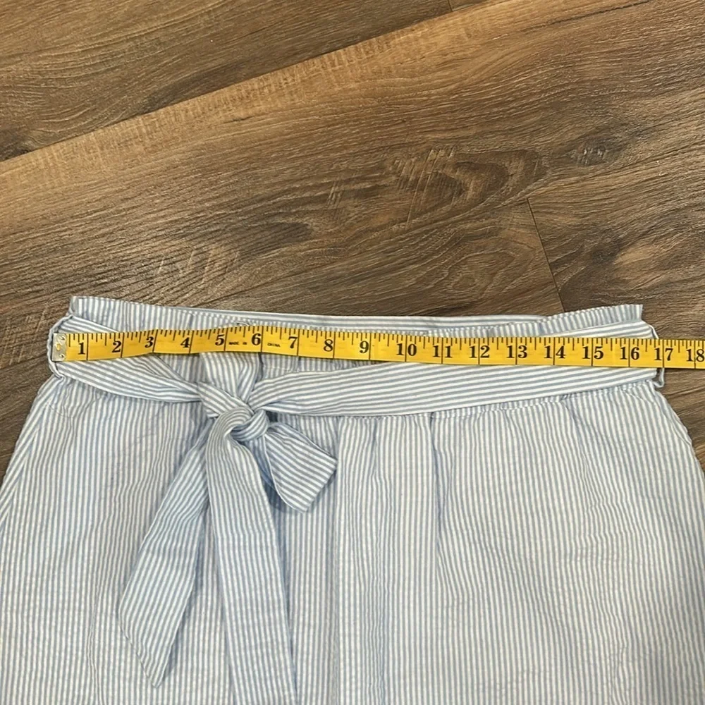 Mud Pie blue & white gingham pattern lined Skirt size medium